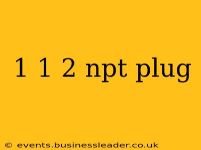 1 1 2 npt plug
