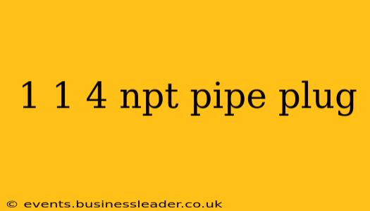 1 1 4 npt pipe plug