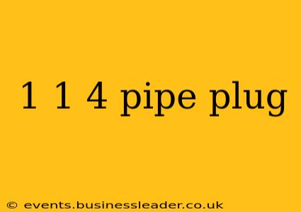 1 1 4 pipe plug