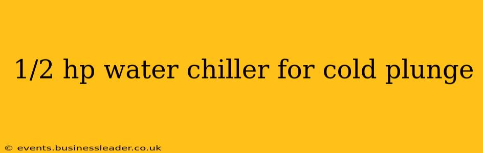 1/2 hp water chiller for cold plunge