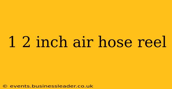 1 2 inch air hose reel