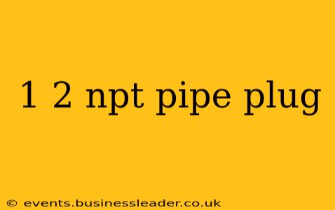 1 2 npt pipe plug