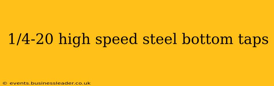 1/4-20 high speed steel bottom taps