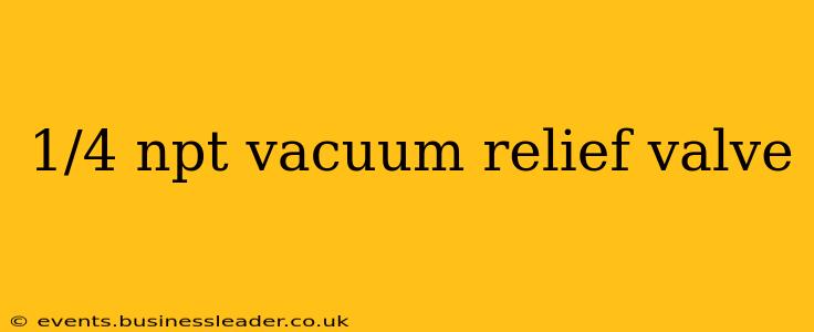 1/4 npt vacuum relief valve