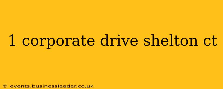 1 corporate drive shelton ct