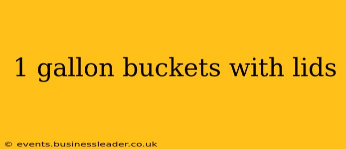 1 gallon buckets with lids