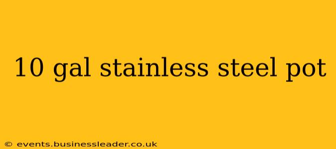 10 gal stainless steel pot