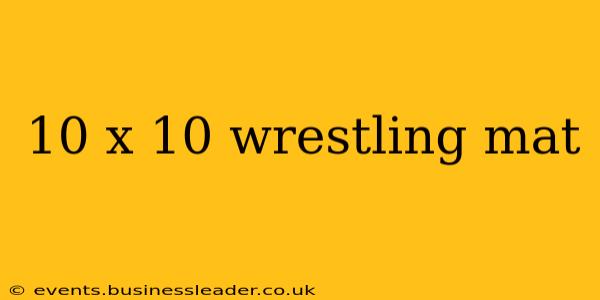 10 x 10 wrestling mat