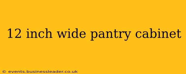 12 inch wide pantry cabinet