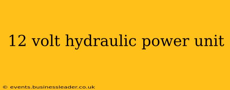 12 volt hydraulic power unit