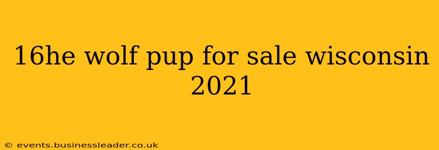 16he wolf pup for sale wisconsin 2021