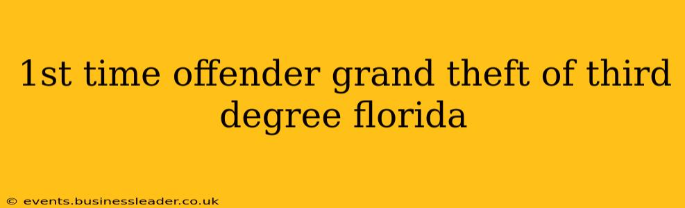 1st time offender grand theft of third degree florida