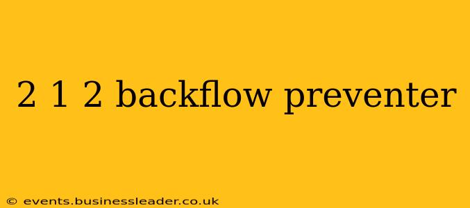 2 1 2 backflow preventer