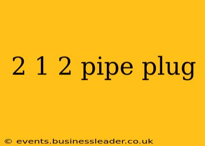 2 1 2 pipe plug