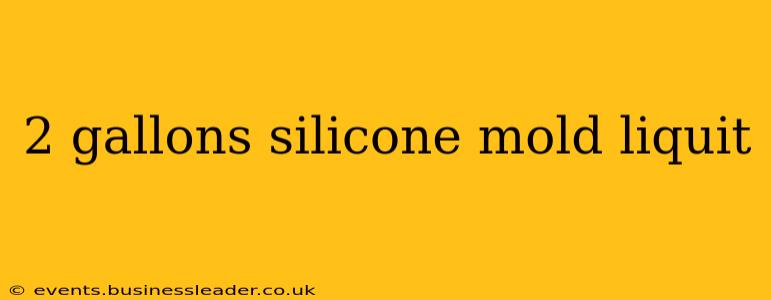 2 gallons silicone mold liquit