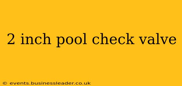 2 inch pool check valve