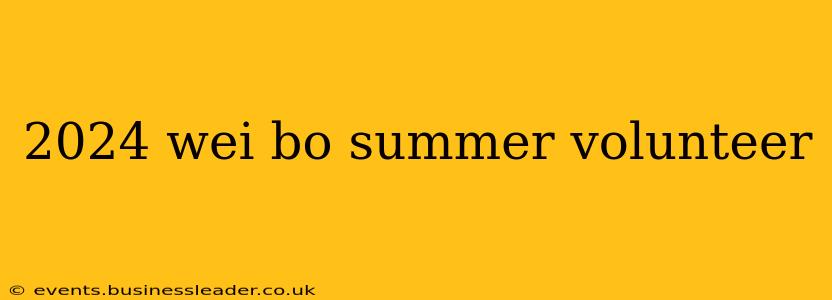 2024 wei bo summer volunteer