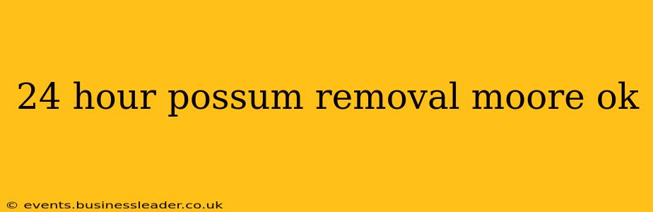 24 hour possum removal moore ok