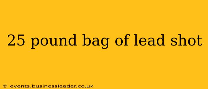 25 pound bag of lead shot