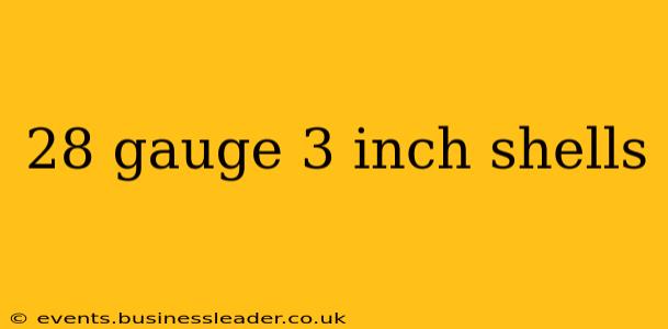 28 gauge 3 inch shells