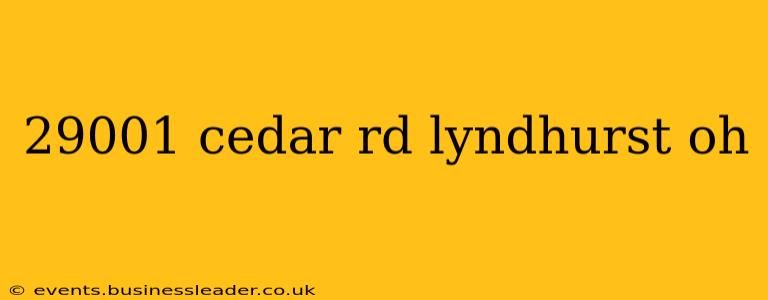 29001 cedar rd lyndhurst oh