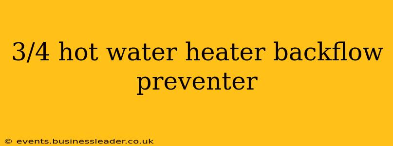 3/4 hot water heater backflow preventer