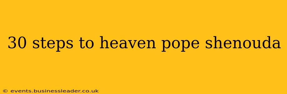 30 steps to heaven pope shenouda