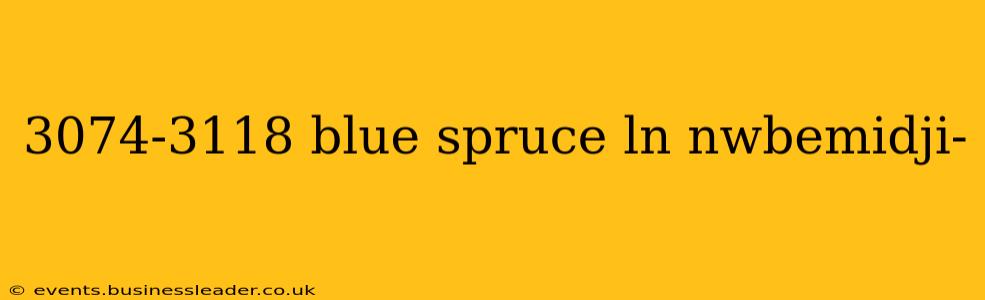 3074-3118 blue spruce ln nwbemidji-