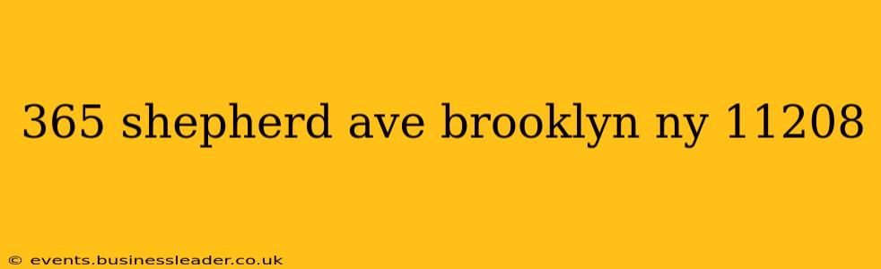 365 shepherd ave brooklyn ny 11208