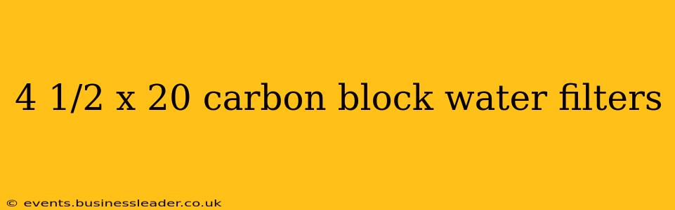 4 1/2 x 20 carbon block water filters
