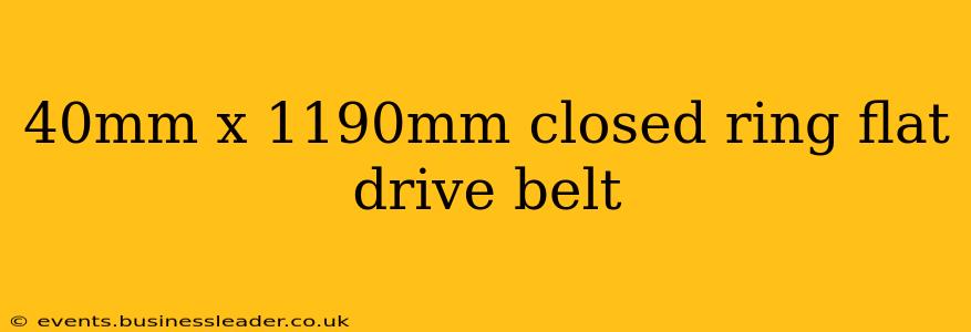 40mm x 1190mm closed ring flat drive belt