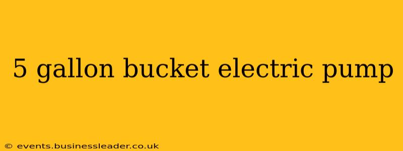 5 gallon bucket electric pump