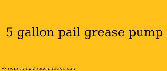 5 gallon pail grease pump
