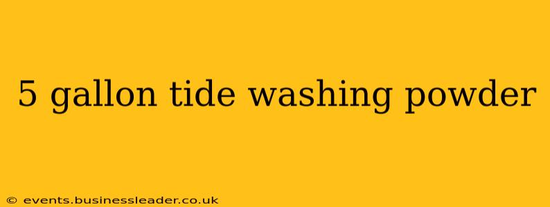 5 gallon tide washing powder