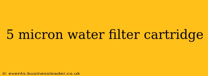 5 micron water filter cartridge