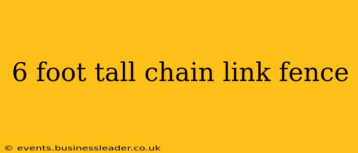 6 foot tall chain link fence
