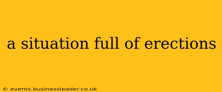 a situation full of erections a situation full of erections