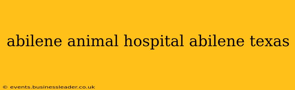 abilene animal hospital abilene texas