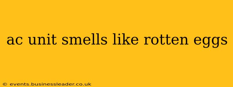 ac unit smells like rotten eggs