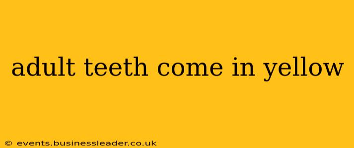 adult teeth come in yellow