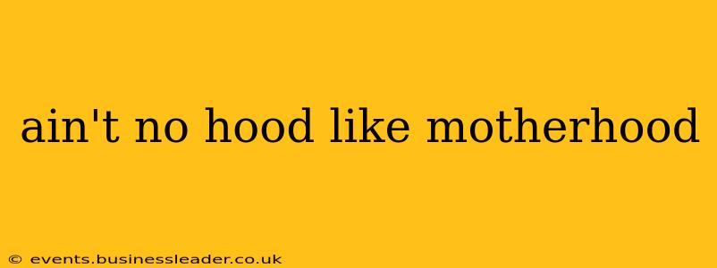 ain't no hood like motherhood