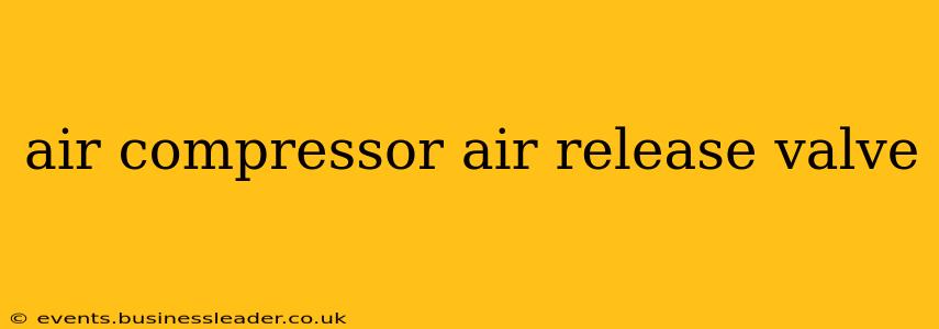 air compressor air release valve