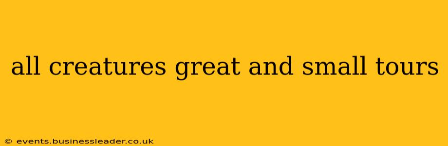 all creatures great and small tours