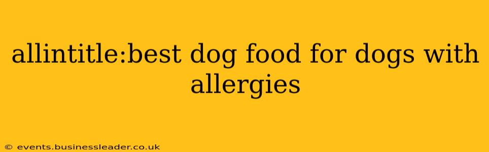 allintitle:best dog food for dogs with allergies
