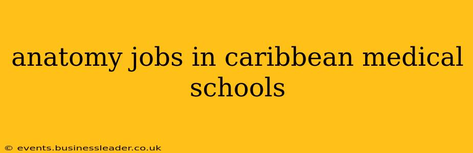 anatomy jobs in caribbean medical schools