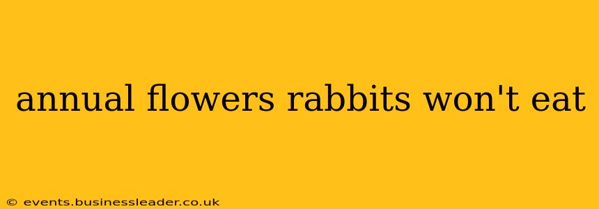 annual flowers rabbits won't eat