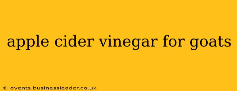 apple cider vinegar for goats