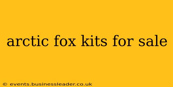 arctic fox kits for sale