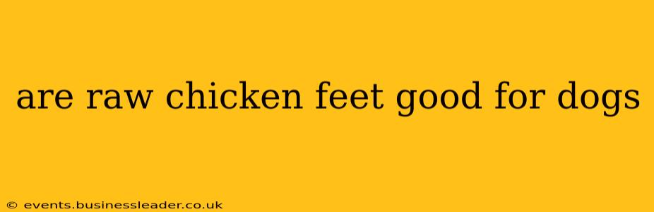 are raw chicken feet good for dogs
