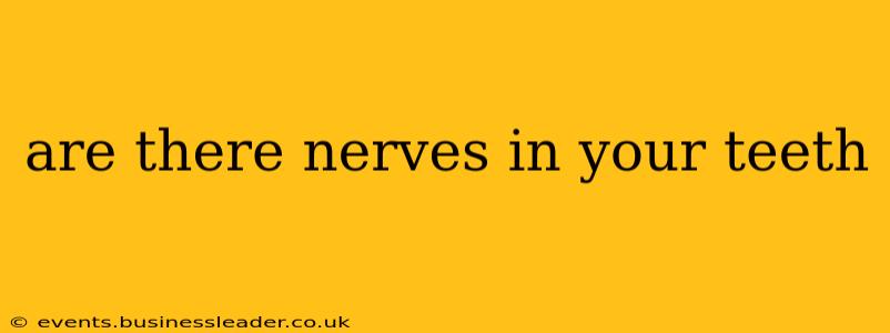 are there nerves in your teeth